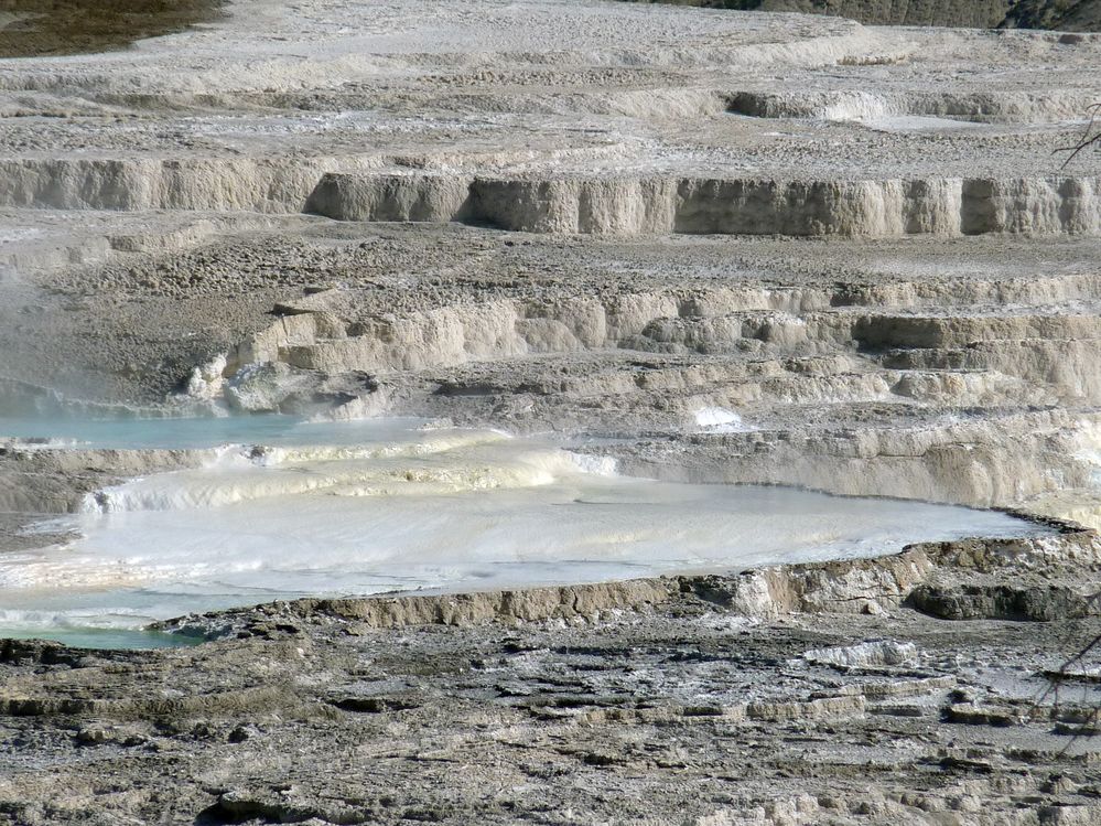 Yellowstone Mammoth Hotsprings (87).JPG